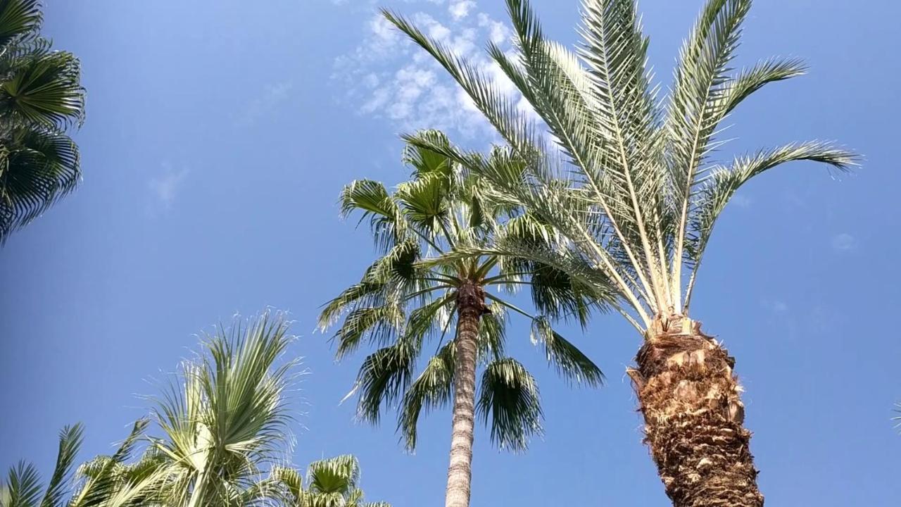 Fantastic 1 Bed Apartment By The Sea Opposite 4 Seasons Лимасол Экстерьер фото