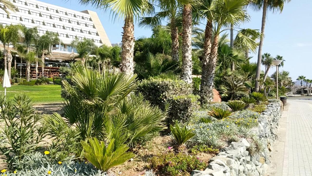 Fantastic 1 Bed Apartment By The Sea Opposite 4 Seasons Лимасол Экстерьер фото